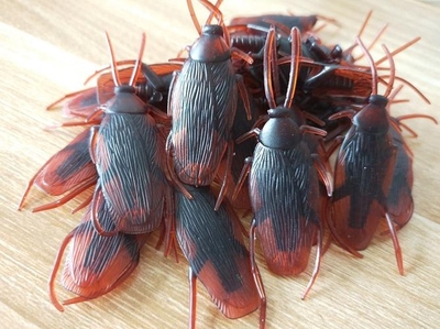 小強(qiáng)一頁(yè) 玩具工廠的銷售奇跡